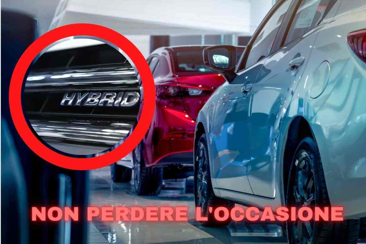 auto ibride 30012023 fuoristrada (10)