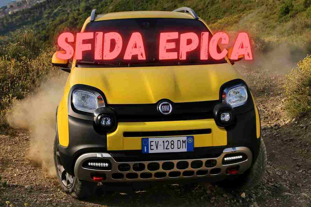 fiat panda