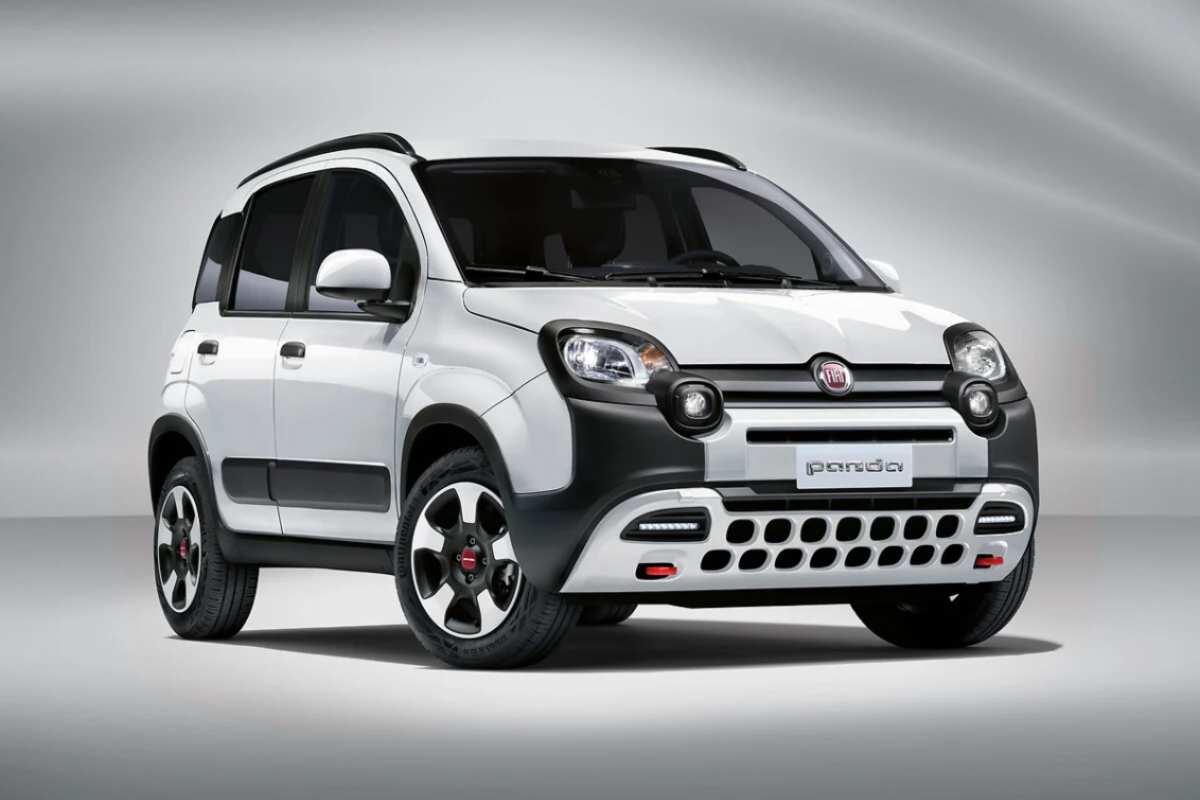 Fiat Panda vendita