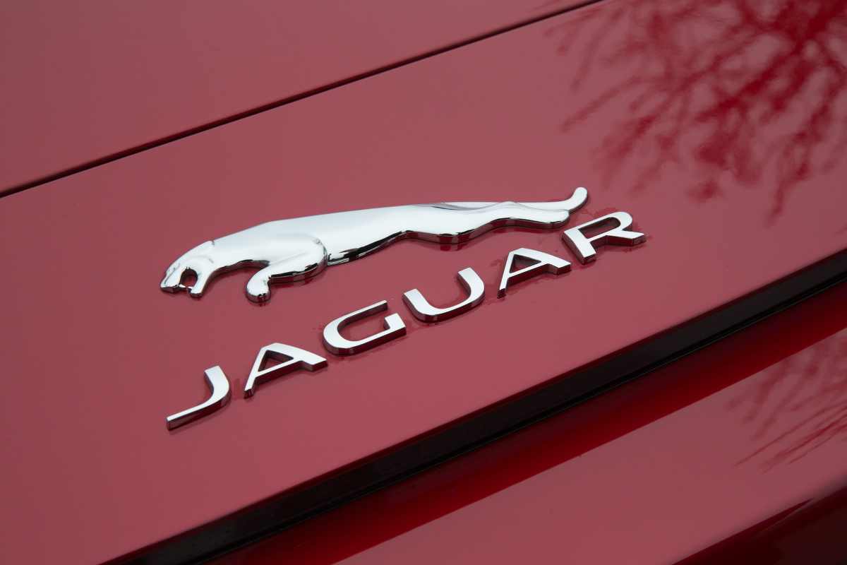 Jaguar tragedia ruota spettatori
