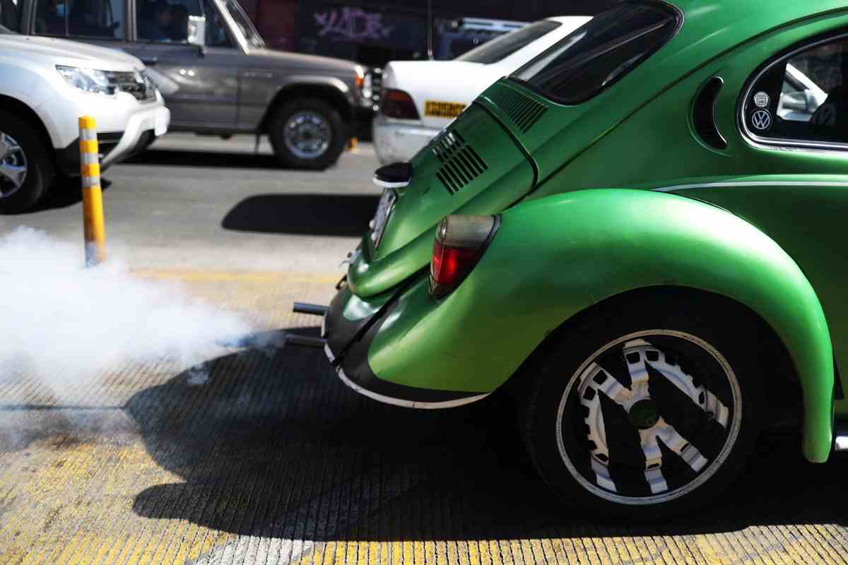 vendite volkswagen