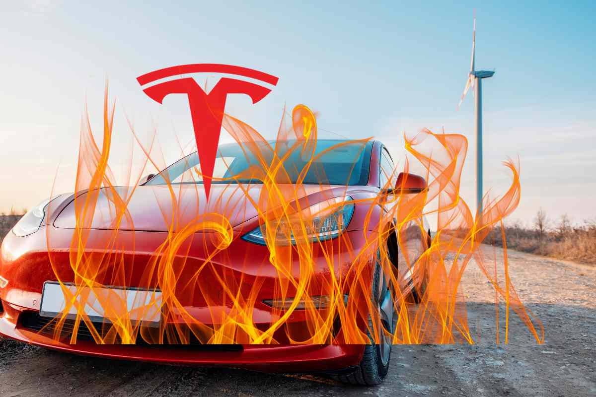 tesla in fiamme attivisti