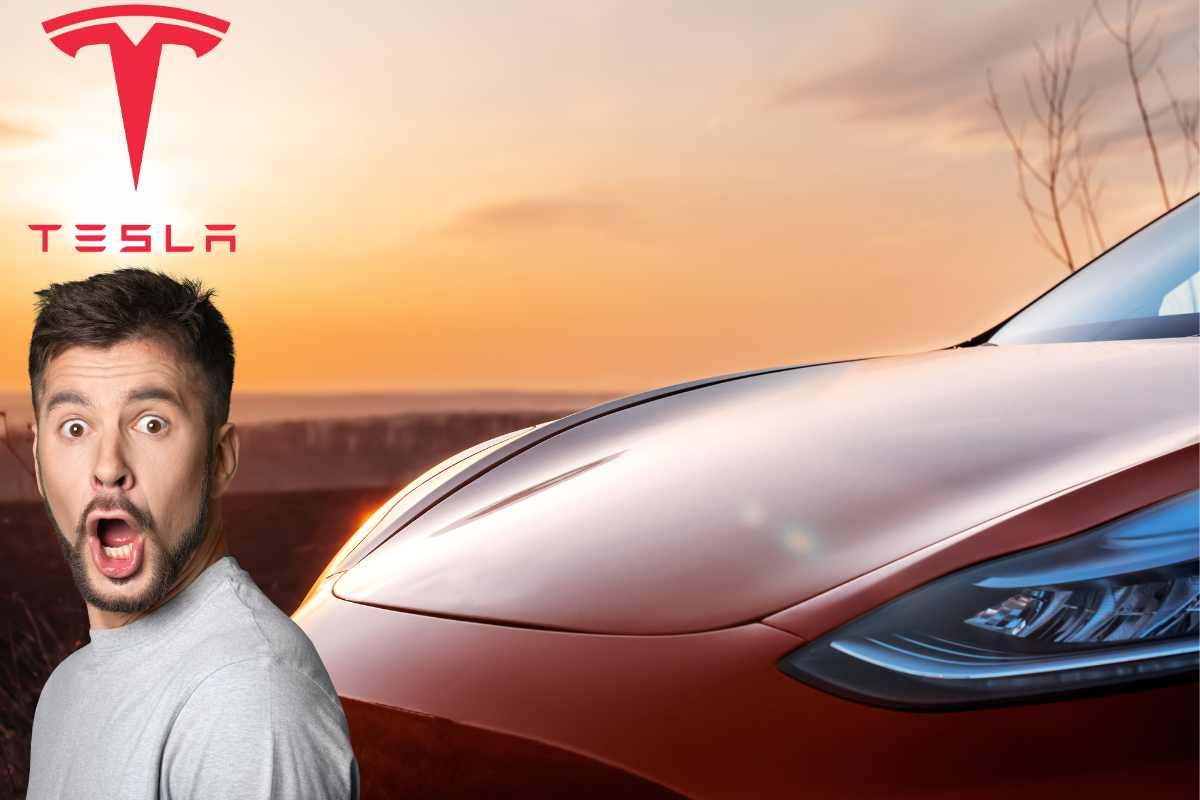 Acquista una Tesla Model Y