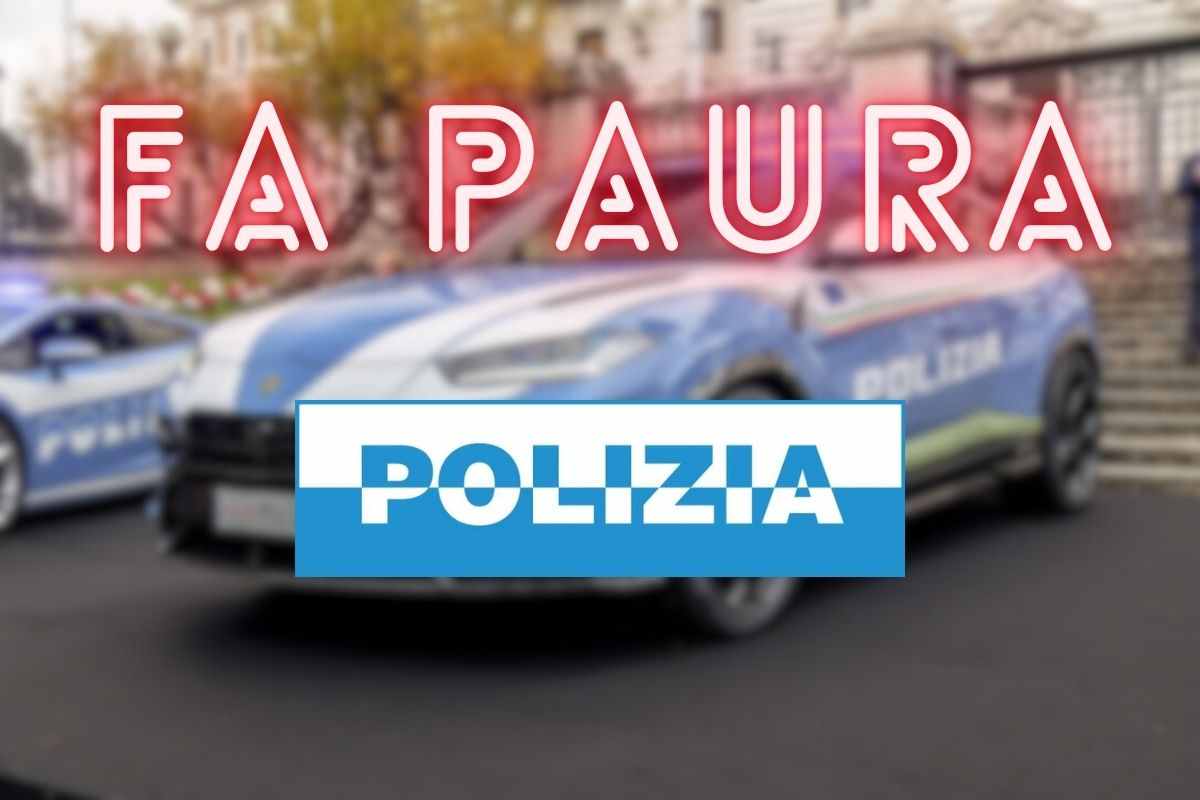 Supercar da sogno entra nella flotta della Polizia, raggiunge i 306 km/h: di che modello si tratta