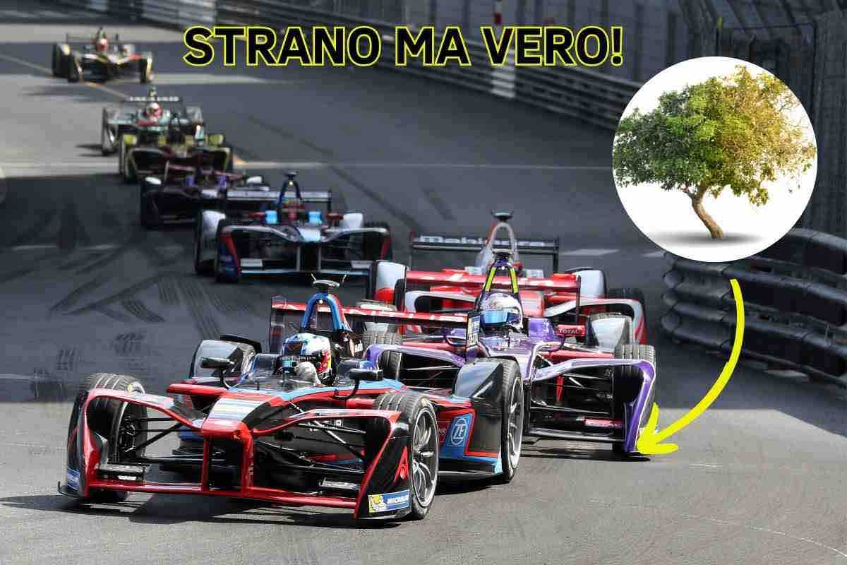 Pista monoposto Formula1 