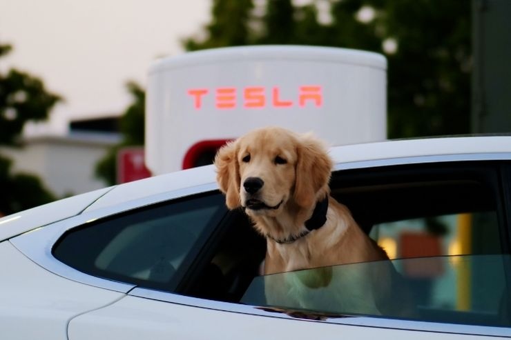Tesla si prepara a un modello più economico, piano e rischi