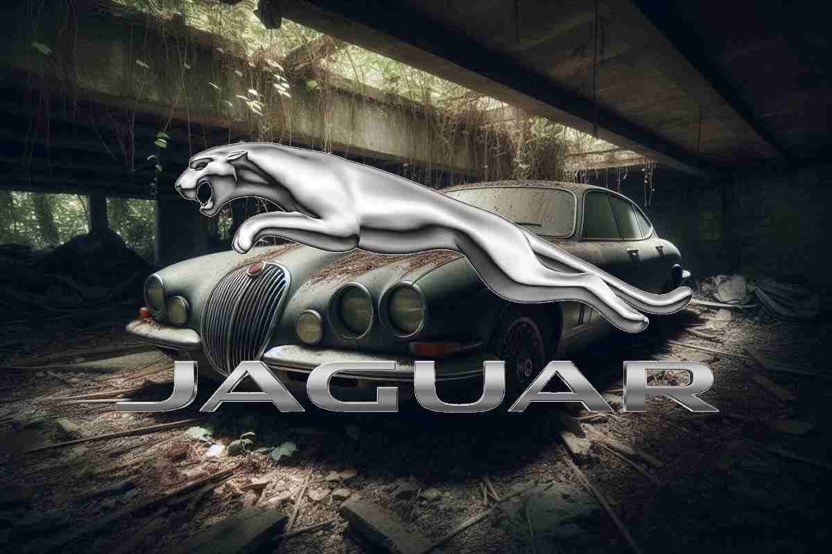 Rompono il pavimento e sotto trovano una Jaguar: vale una piccola fortuna (FOTO)